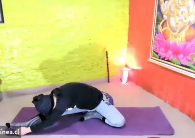 Janusirsasana o postura de la cabeza en la rodilla en clases de hatha yoga online