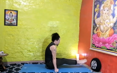 Fuerza de voluntad