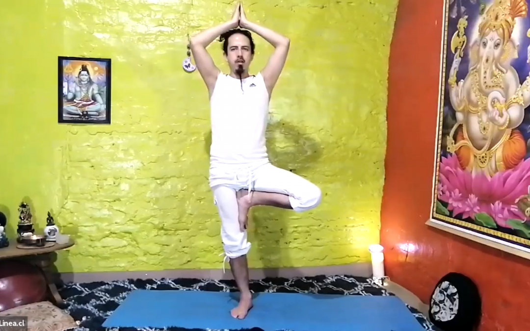 Apertura de caderas en yoga, clase 1