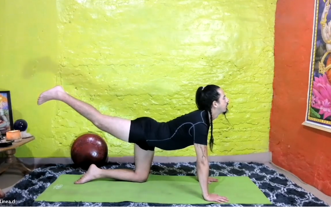 Fortalecer zona abdominal