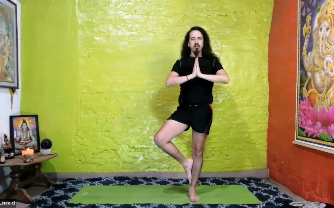 Vinyasa, transiciones dinamicas