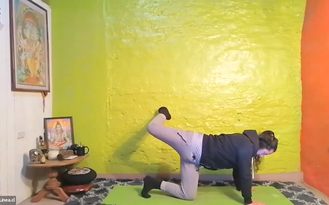 Flexibilidad de caderas